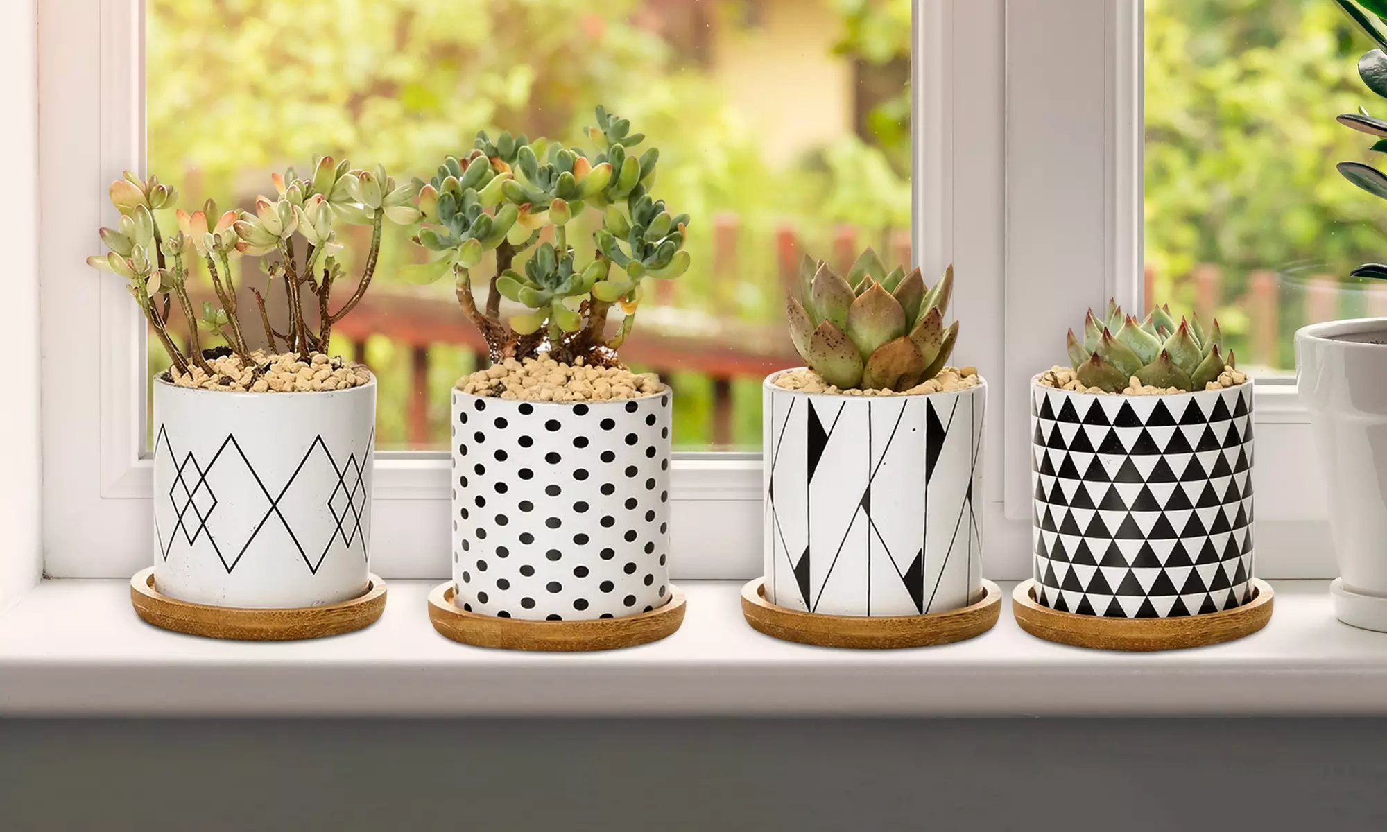 Lot de 3 pots de fleurs en céramique pour succulentes