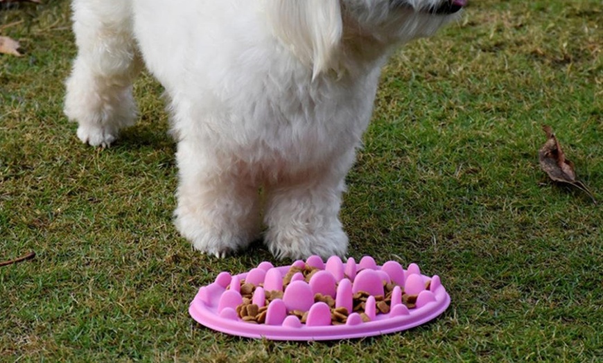 Image 3: Interactive Slow Feeder Pet Food Bowl