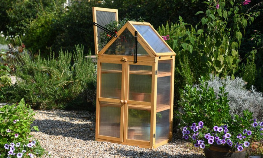 Image 11: Garden Gear Wooden 3-Tier Greenhouse or XL Cold Frame
