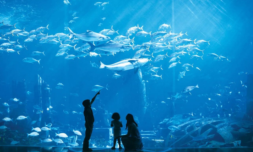 Image 12: Explore Dubai’s Lost Chambers Aquarium: Tickets for One, Two, or Four