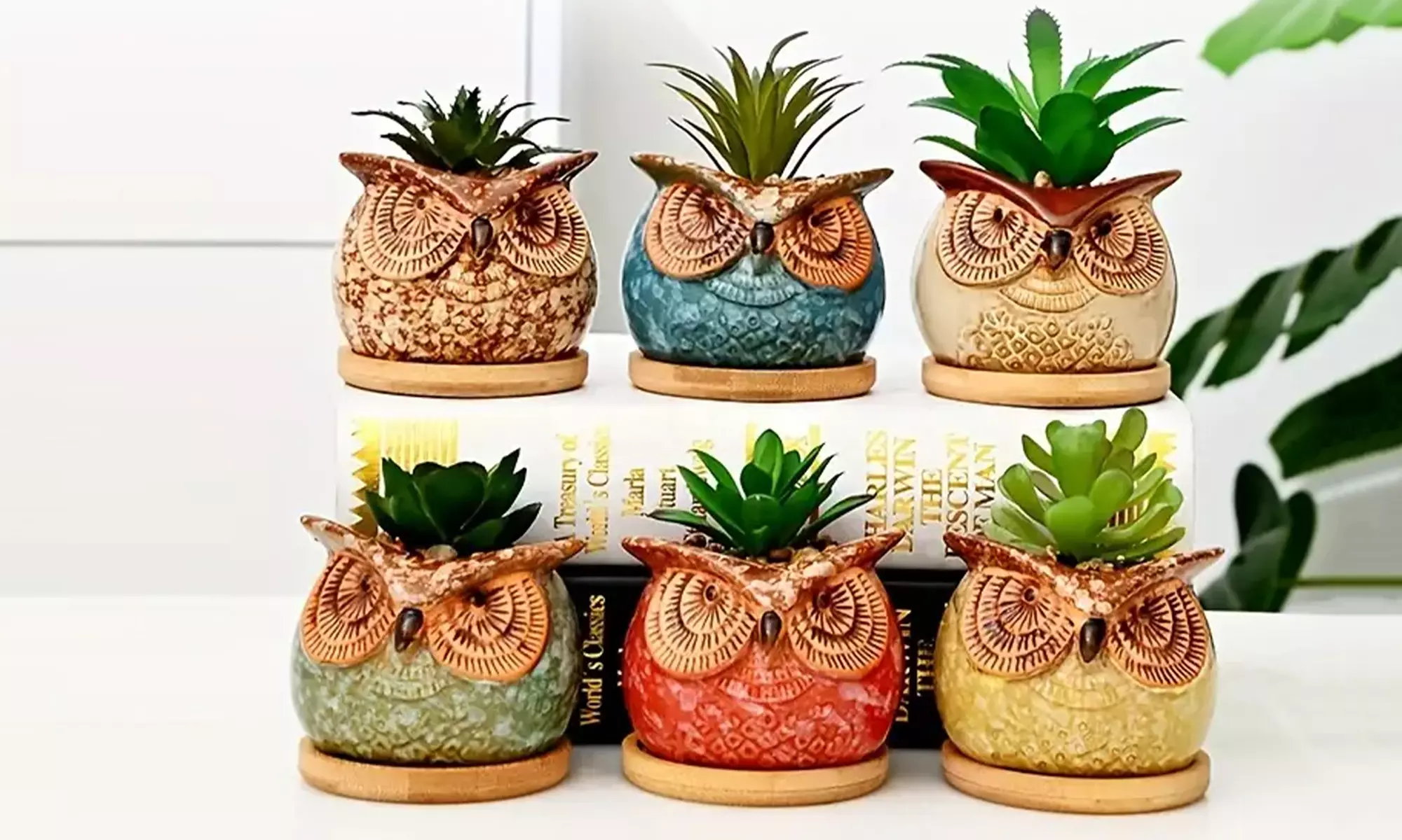 3er- oder 6er-Set Keramiktopf im Eulen Design