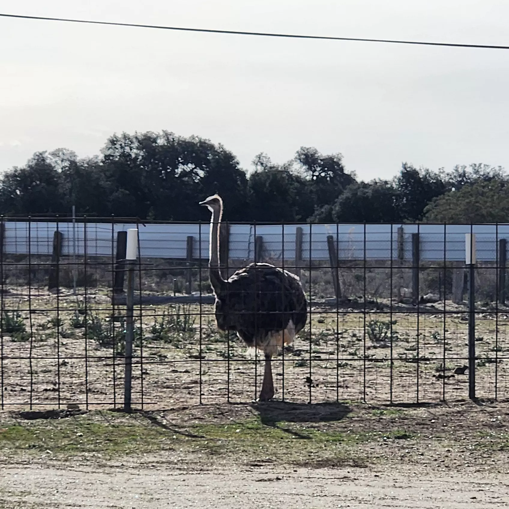 Family Adventure with Animal Tour: Day Pass for One or Two Family 