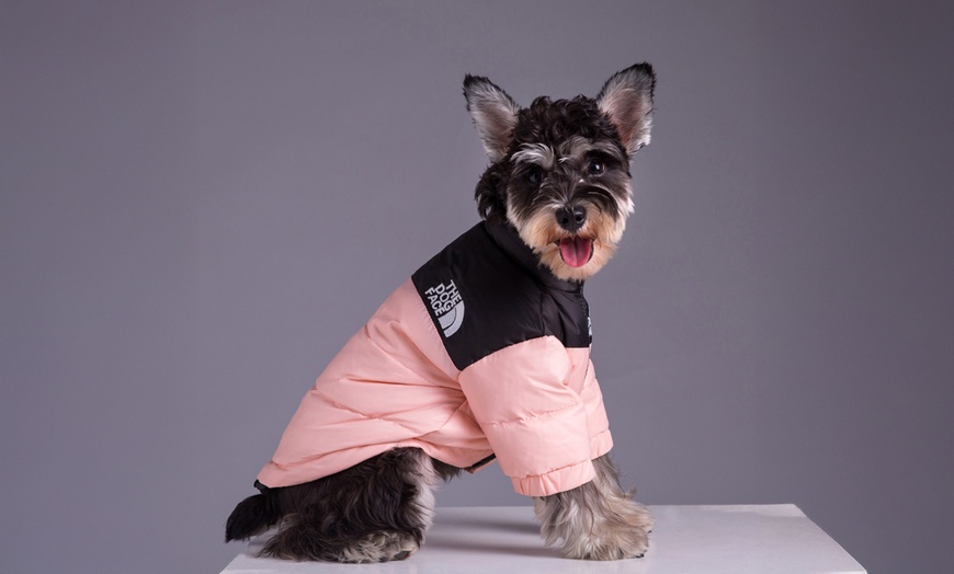 Image 6: Comfortable Winter Pet Jacket