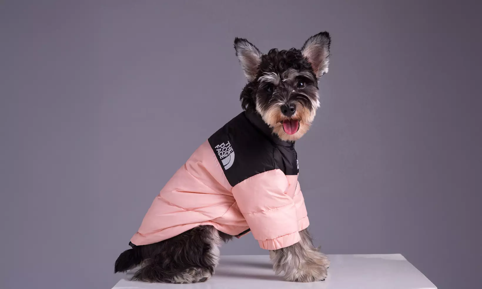 Comfortable Winter Pet Jacket