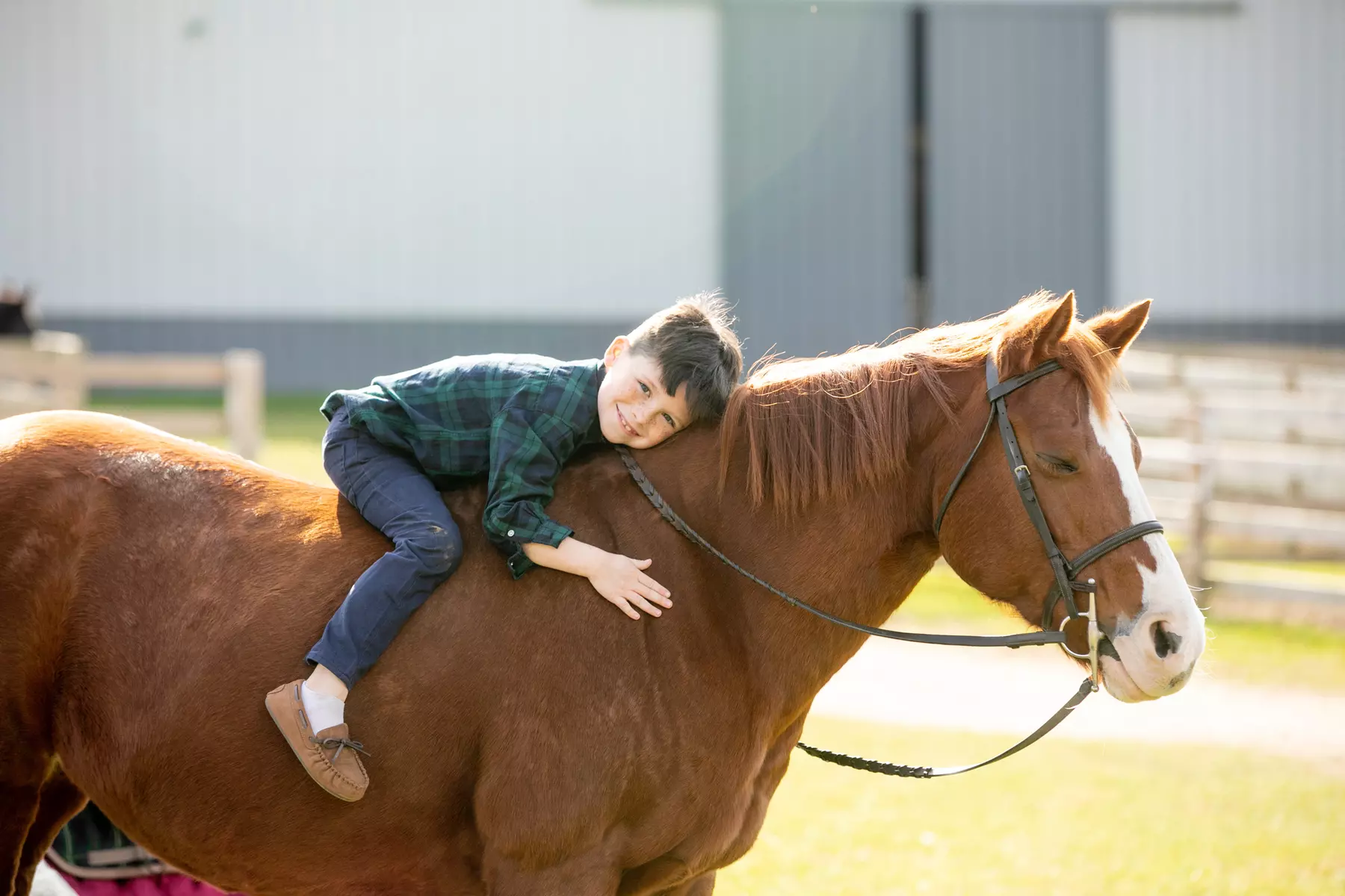 Private Horseback Riding Lessons at SNS Equine