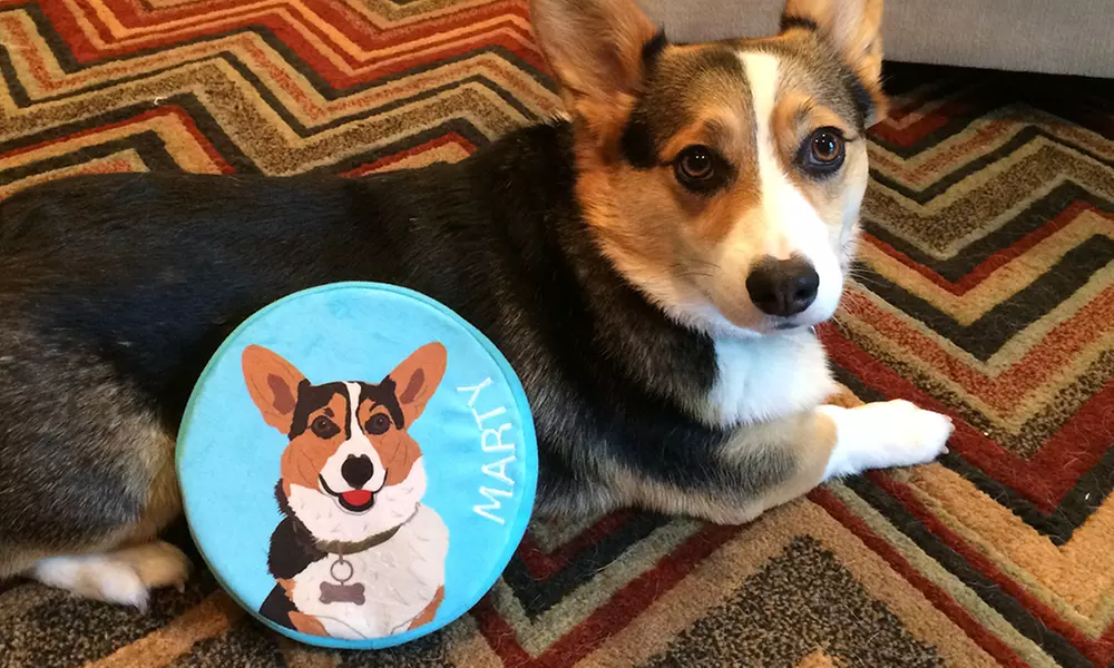 One, Two, or Three Custom Frisbee Toys from PrideBites (As Seen on Shark Tank) (Up to 56% Off) - Primary Image