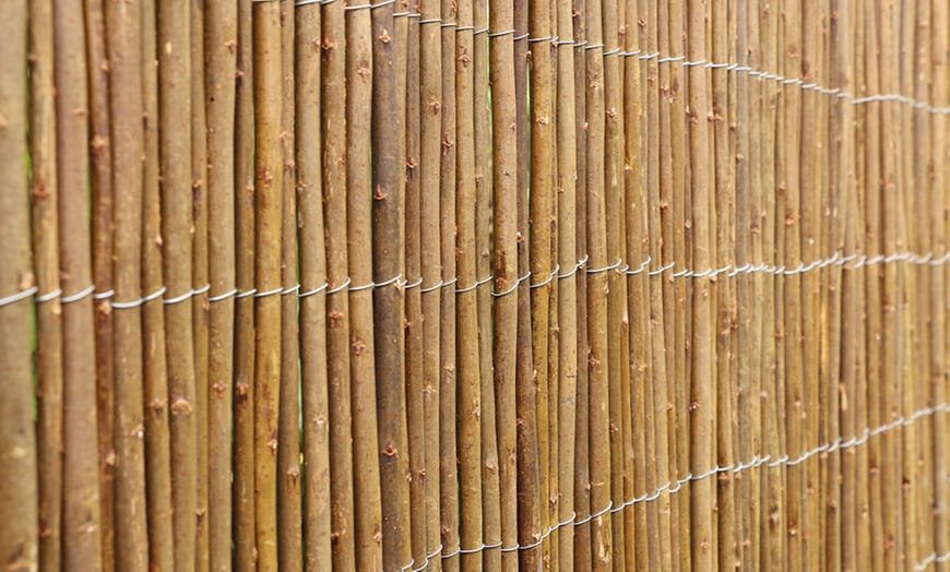 Image 2: Willow Fence