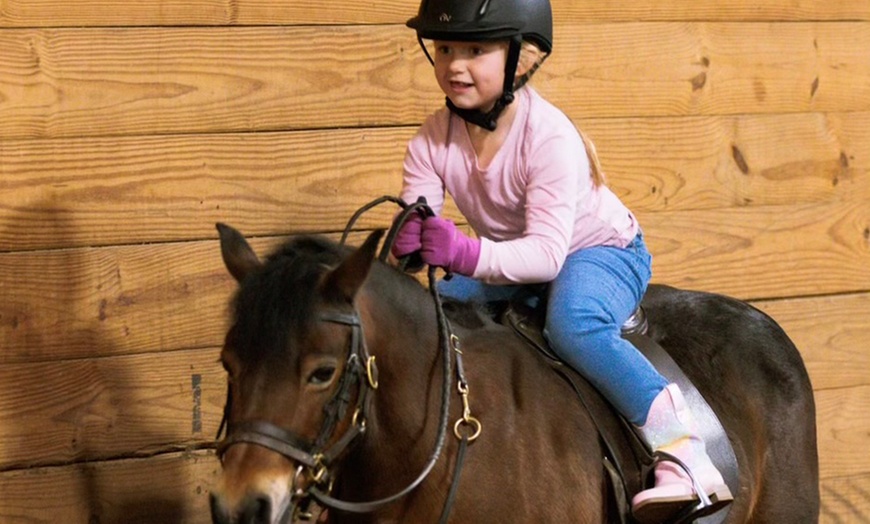 Image 6: Join 1 or 4 Private Horseback Lessons For Adults or Children