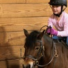 Image 6: Join 1 or 4 Private Horseback Lessons For Adults or Children