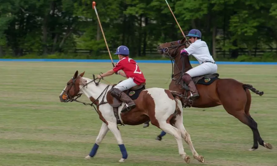 GA for Two, Four, or Six, or 2019 Season Pass to Sunday Polo Matches at Banbury Cross Polo Club (Up to 40% Off) - Primary Image