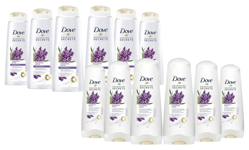 Image 8: Dove Shampoos and Conditioners