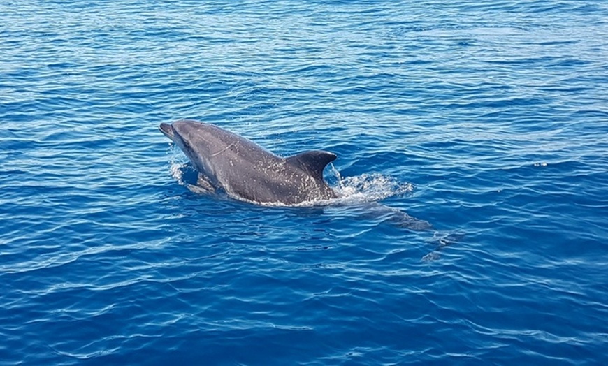 Image 4: Excursión en barco con comida