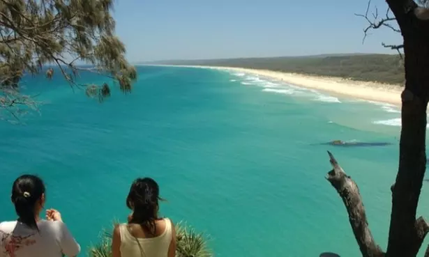 Full-Day Island Safari + Lunch