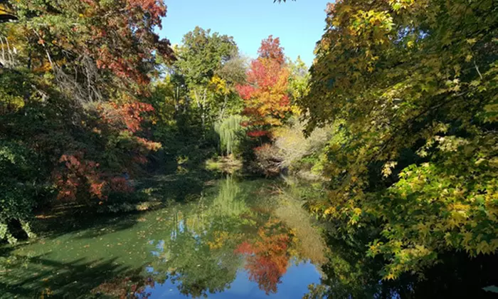 Central Park Walking Tour for Two, Three, or Four from Manhattan Walking Tour (Up to 20% Off) - Primary Image