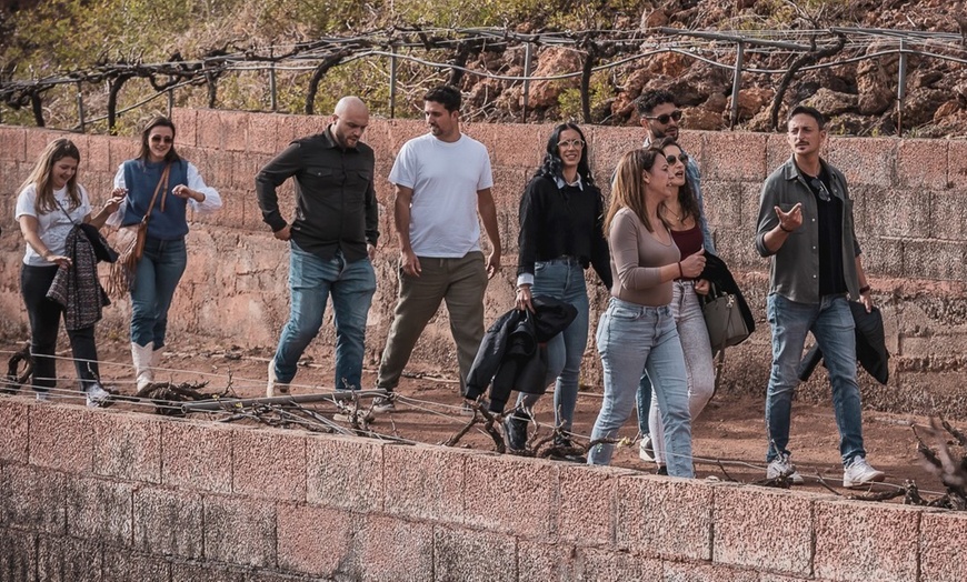 Image 18: Menú de comida con visita a bodega y cata de vinos para 1 o 2 personas