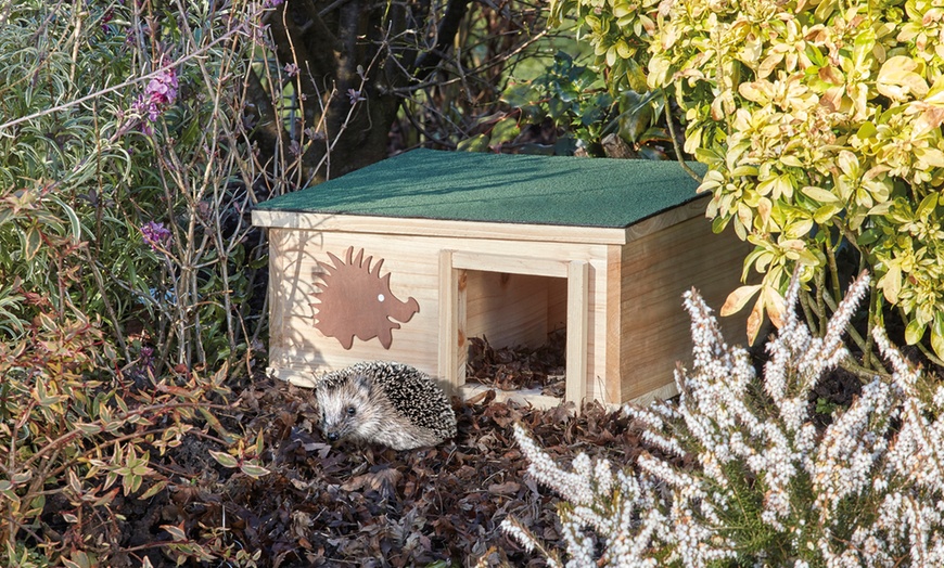 Image 1: Endangered Hedgehog House
