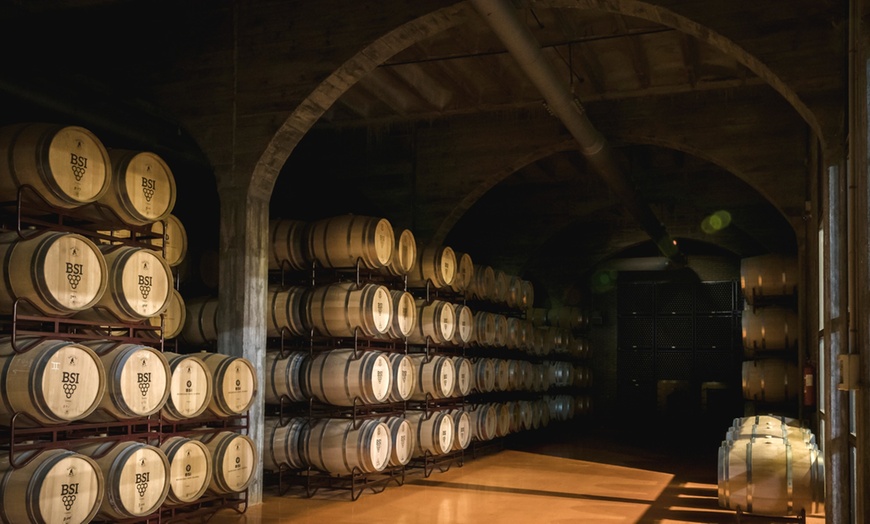 Image 2: Visita a bodega con cata de vinos