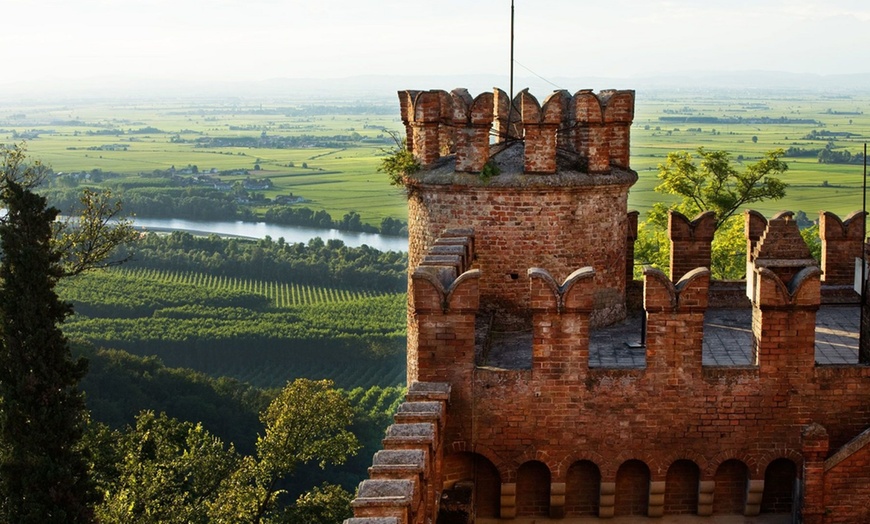 Image 6: Degustazione vini guidata a Castello di Gabiano