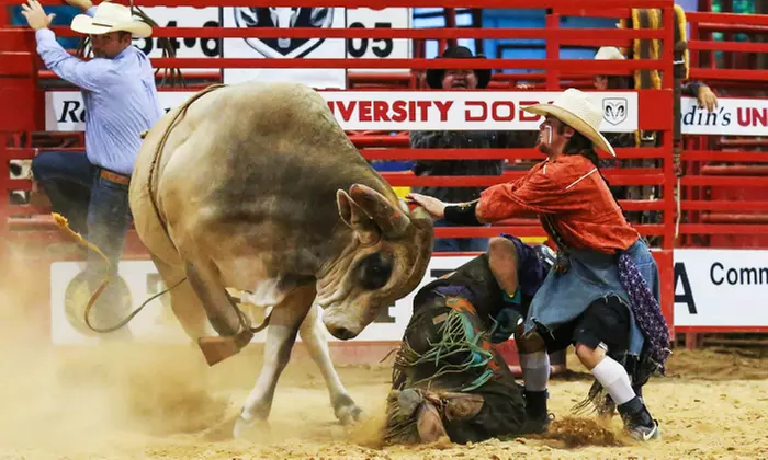 Southeastern Circuit Finals Rodeo on November 12 at 7:30 p.m. - Primary Image