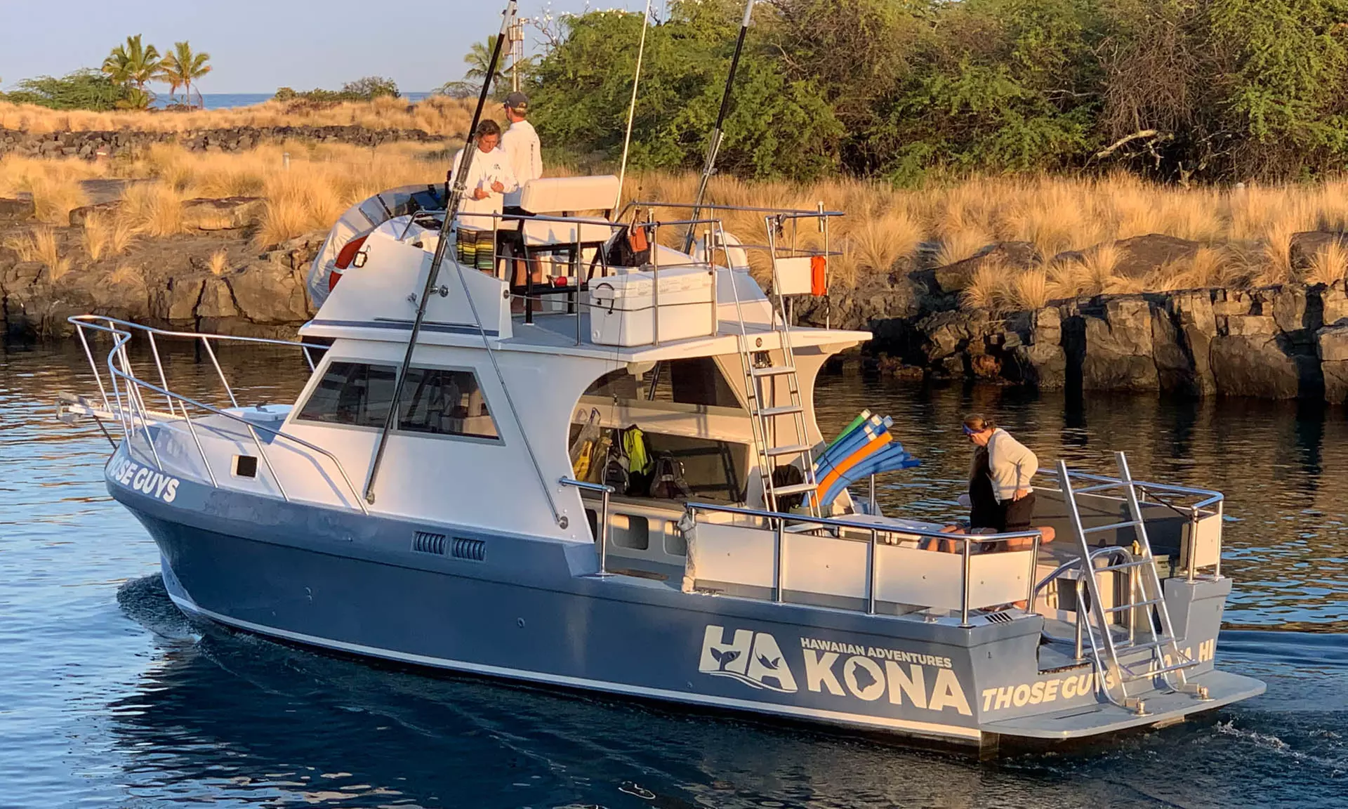 Guaranteed Humpback Whale Watching Tour in Hawaii's Kona Coast