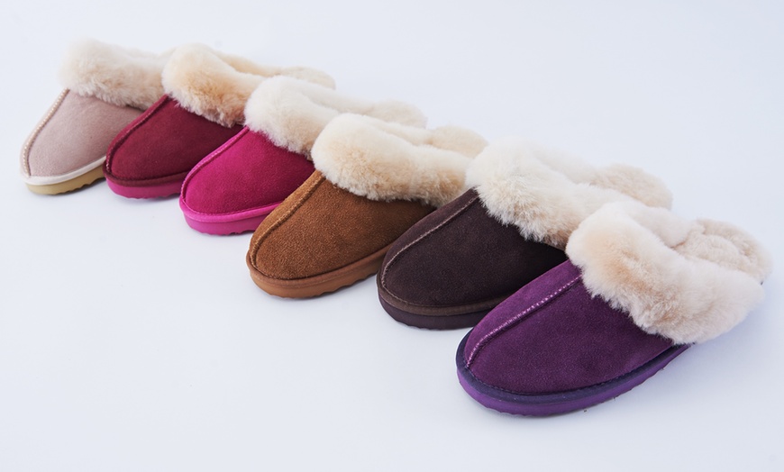 snow paw slippers groupon