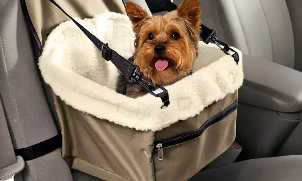 Panier de voiture pour chien - Primary Image