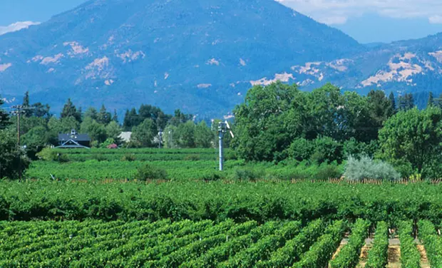 Stay at The Sunburst Calistoga in Napa Valley, CA. Dates into December. - Primary Image