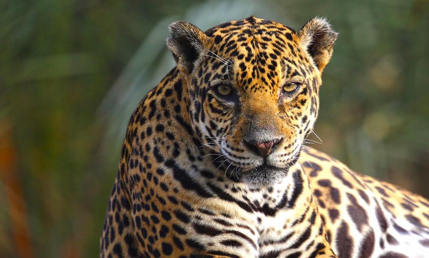 Image 3: Zoo and Learning Centre Entry: Child (AED 8), Adult (AED 25)