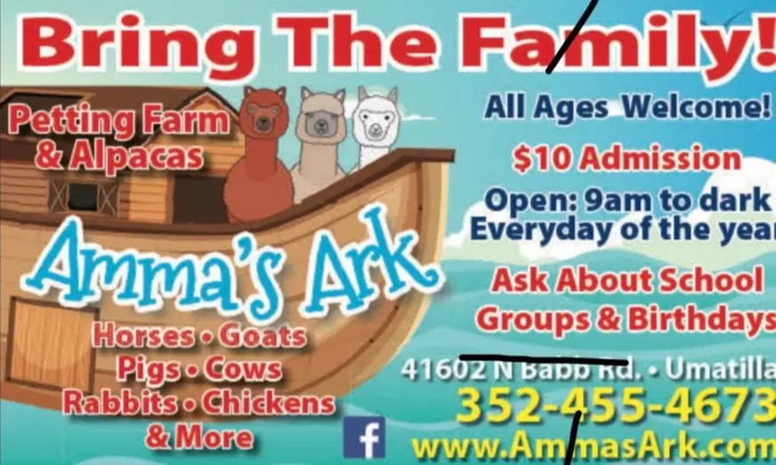 Petting Farm Admission at Ammas Ark Petting Farm and Alpacas - Primary Image