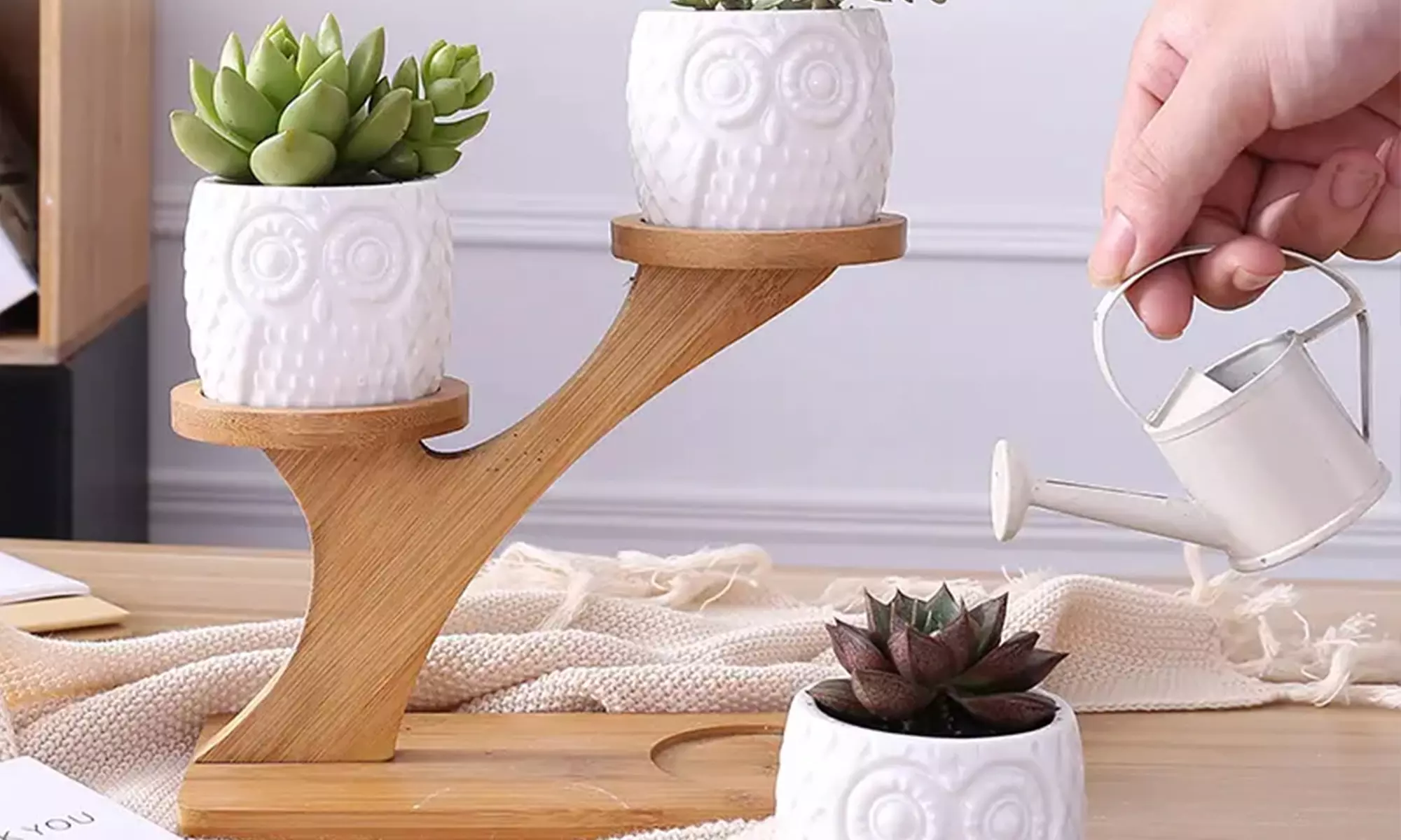 3er- oder 6er-Set Keramiktopf im Eulen Design