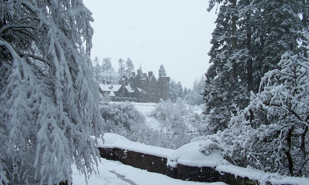 Be A Royalty with a Decorative Lord or/and Lady Title