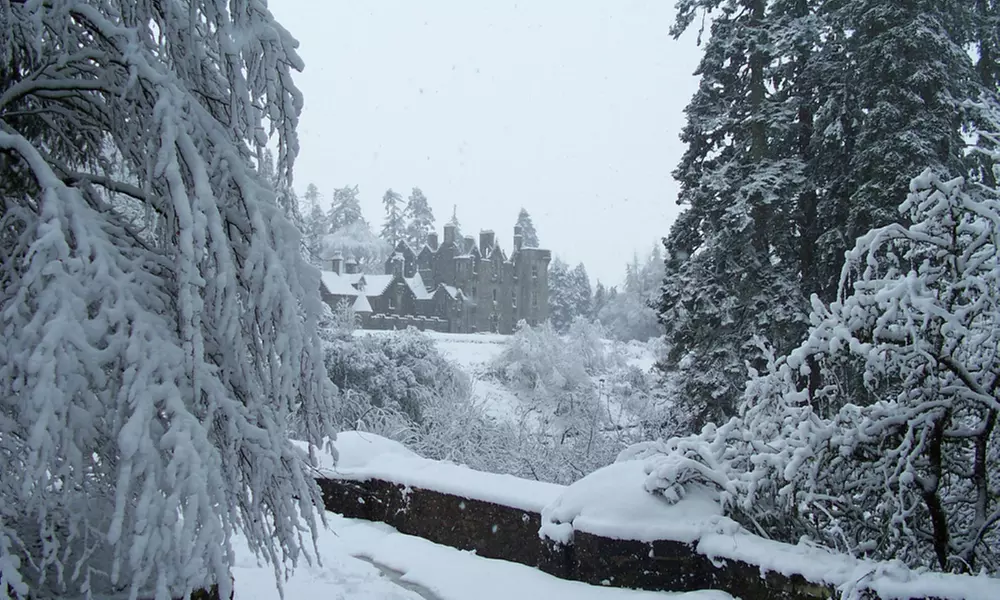 Be A Royalty with a Decorative Lord or/and Lady Title