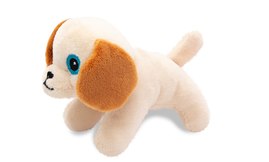 Image 3: PMS International Plushie in Case