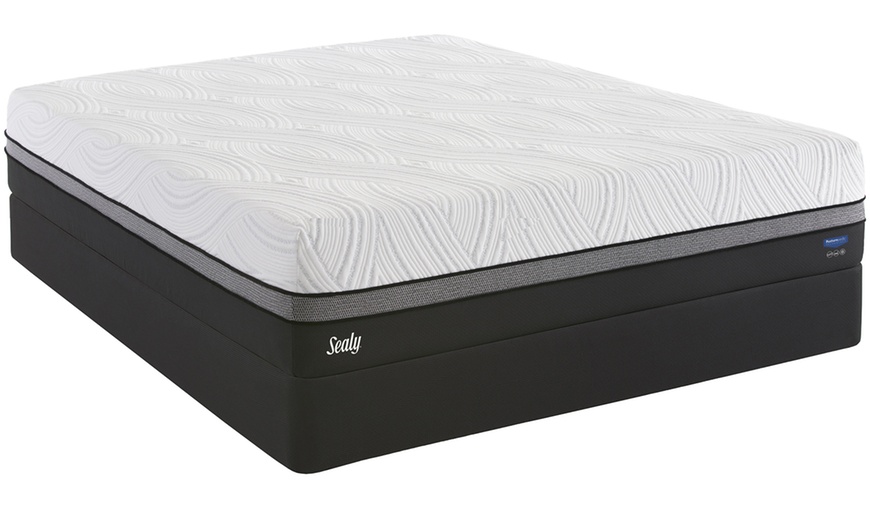 white glove mattress