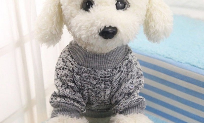 Image 7: Pet Jumper