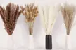 Natural Dried Flowers Pampas Grass Bunny Tails Bouquet Boho Wedding Table Decor - Second Medium