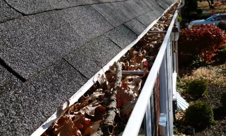 $55 for Up to 100ft. of Gutter Cleaning ($145 Value) – Window Perfection - Primary Image