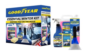 Goodyear Winter Essential Car Kit