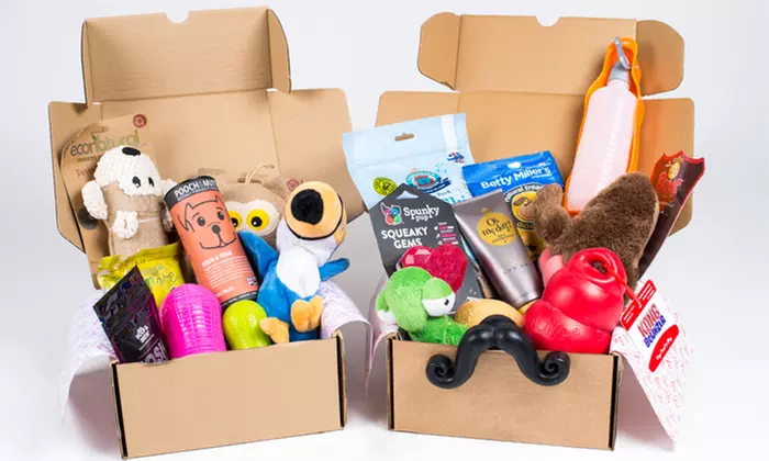 Wertgutschein für ein PfötchenBox-Abonnement für 1 oder 6 Monate bei BEFEVER SPAIN SL (bis zu 69% sparen*) - Second Medium