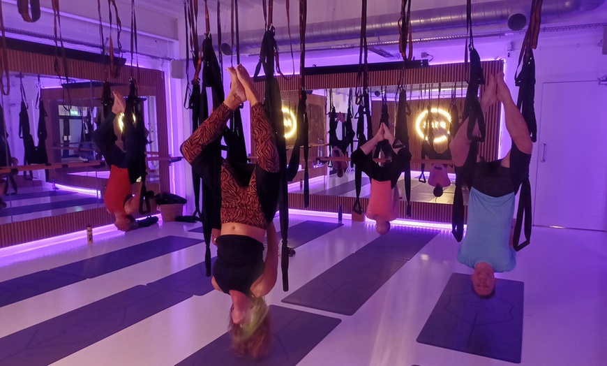 Image 1: 3-Hour Aerial Yoga Beginners Course at R1se Yoga