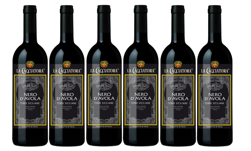 Image 11: Selezione di vini italiani