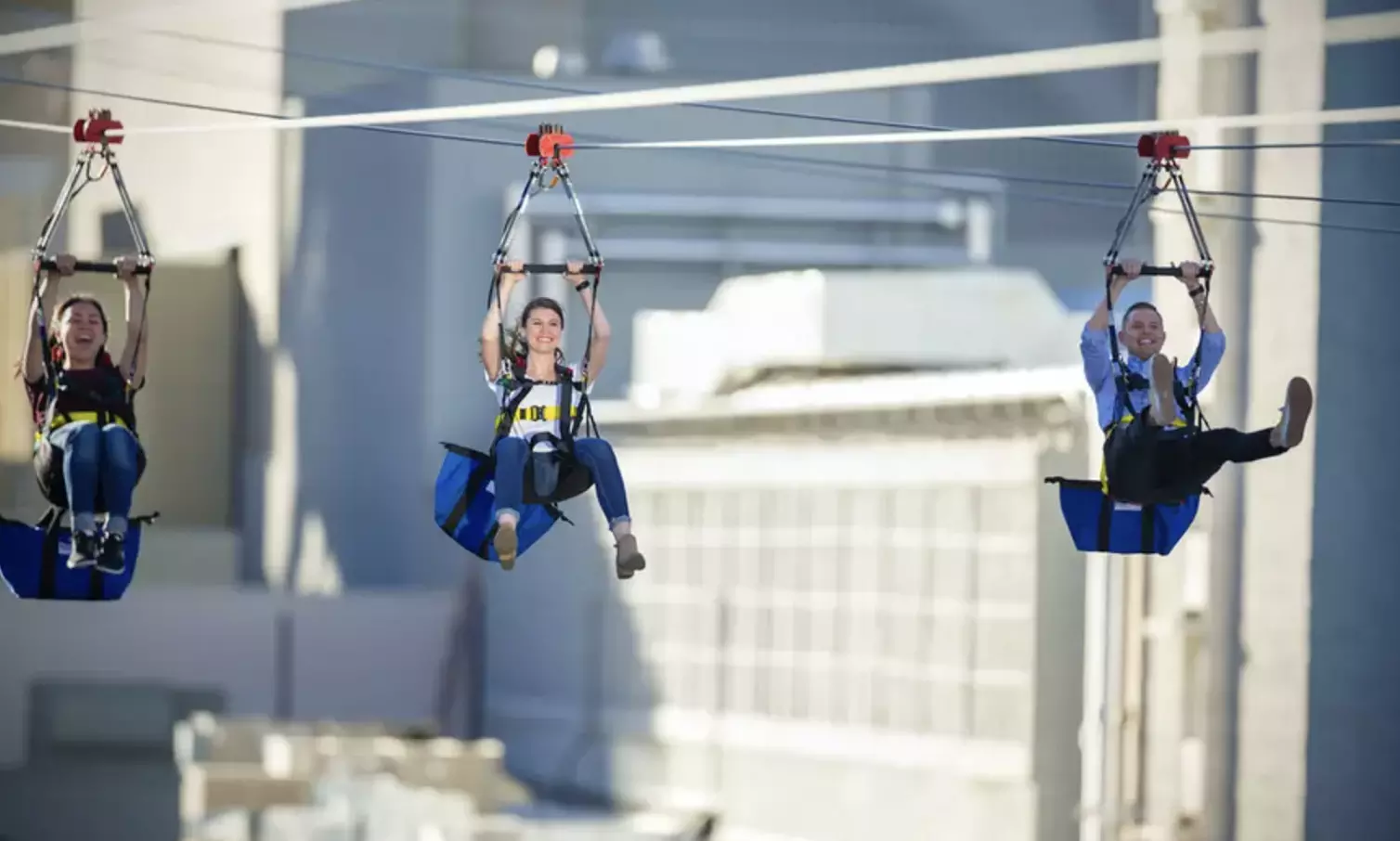 Piff The Magic Dragon and Fly LINQ Zipline Package - Second Medium