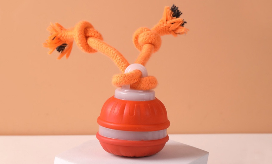 Image 5: Interactive Rolling Ball Toy
