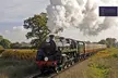 Step Aboard the Bluebell Railway for 1-4: Steam-Powered Journeys Through History (Up to 36% Off) - Second Medium
