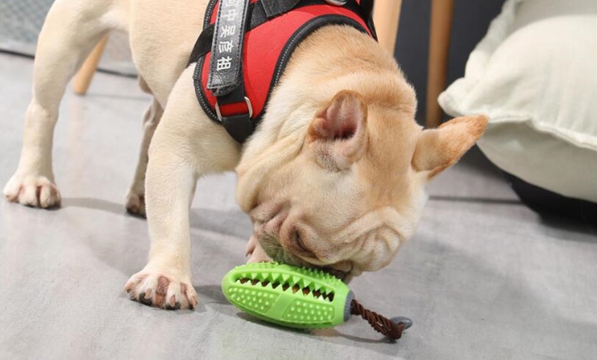 Image 2: Boule à mâcher pour chiens