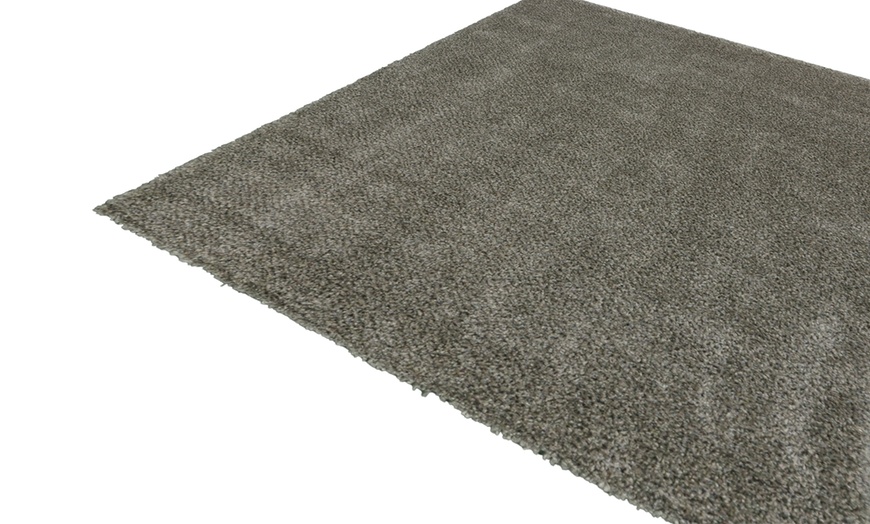 Image 14: Shaggy Carpet