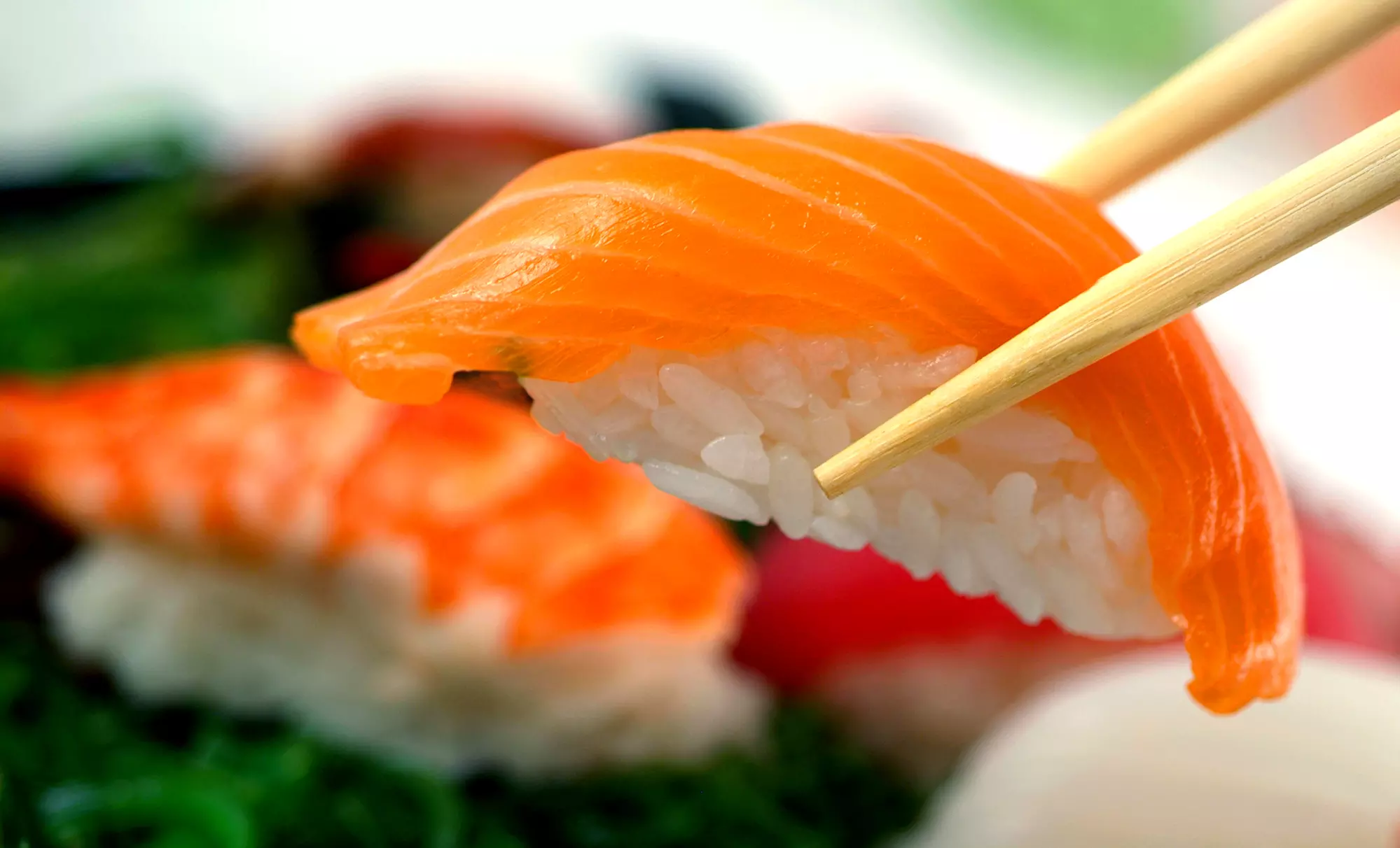 Sushi and Japanese Cuisine at Sakura Sushi (Up to 50% Off). Four Options Available. - Primary Image