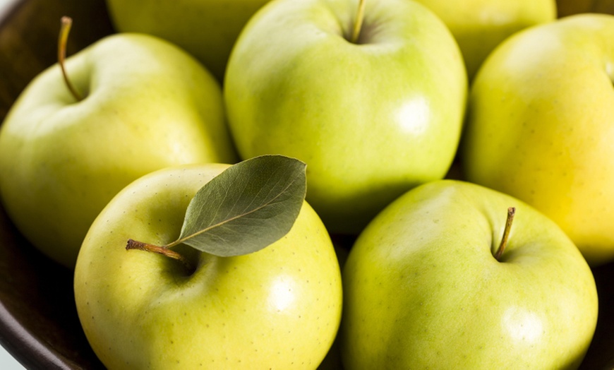 Image 7: Mini Orchard Fruit Collection - Three Plants