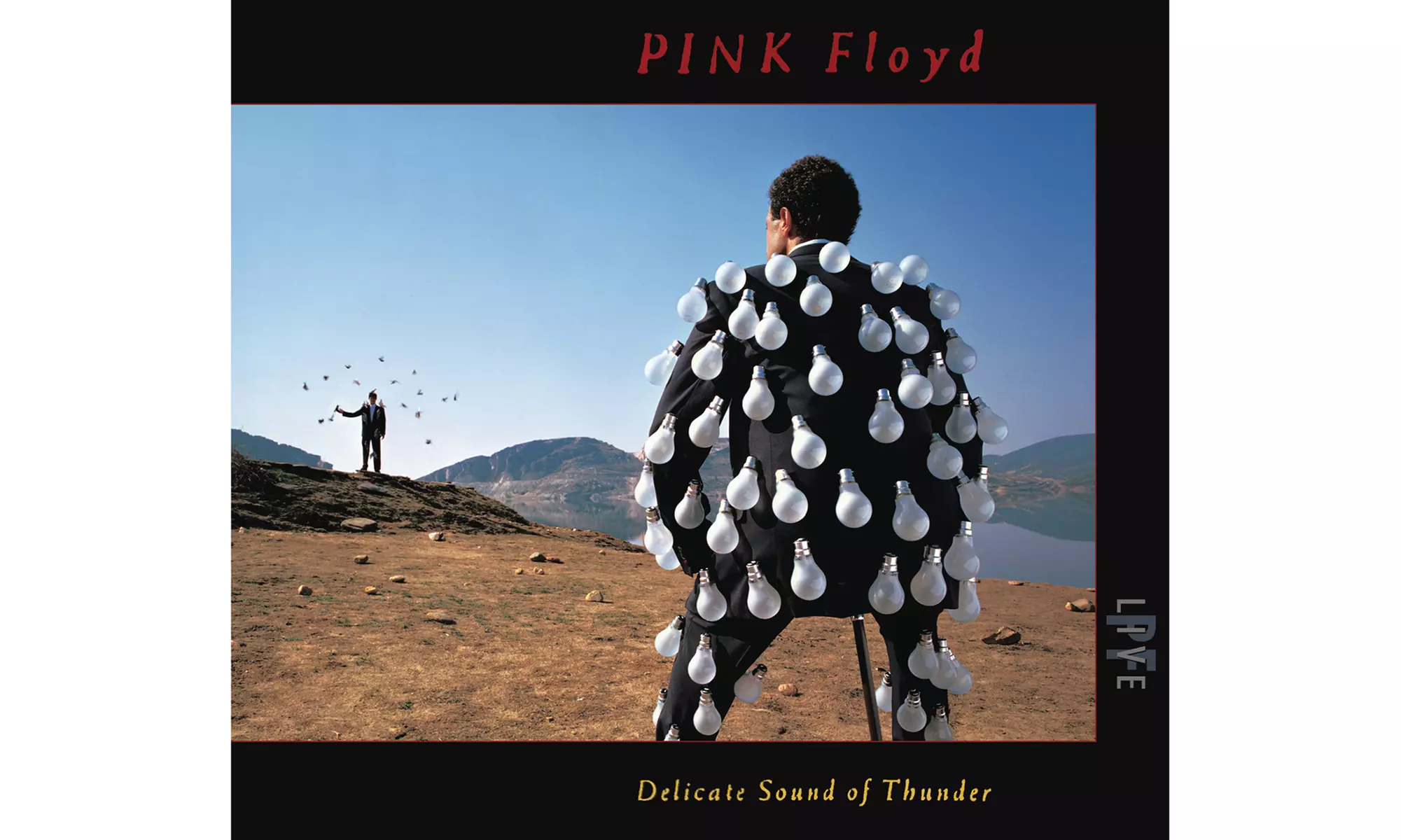 Pink Floyd: Delicate Sound Of Thunder Live Album on 2 CDs - Primary Image