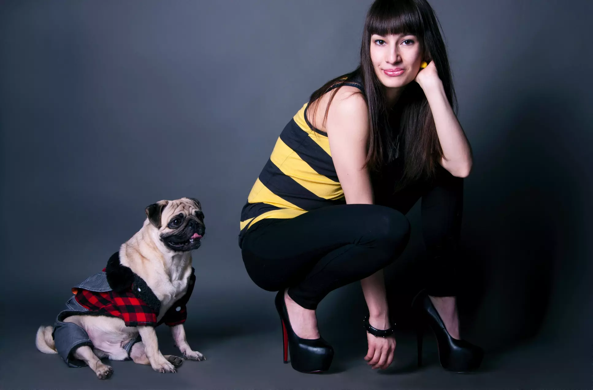90-Minute Pet Photo Shoot with Retouched Digital Images from Lavender Lane Photography  (50% Off) - Primary Image